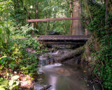 Belhus Woods Stream