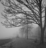 Misty in Mistley 2