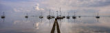 Refections