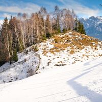 Carpathian Mountains