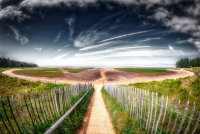 Holkham Bowl