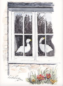 Geese in the Window