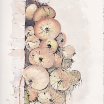 Onions