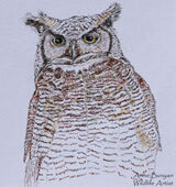 Great Horned Owl