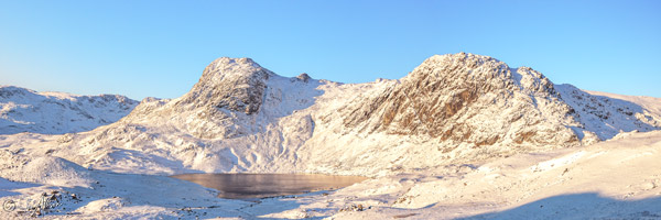 Gallery 2; Panoramic