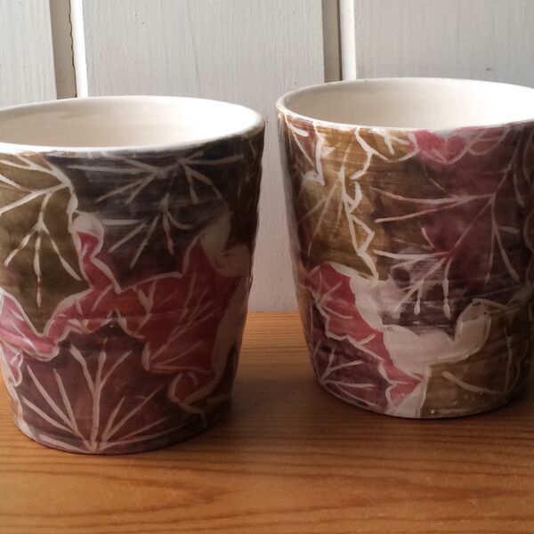 Pair of Crimson King Maple Beakers