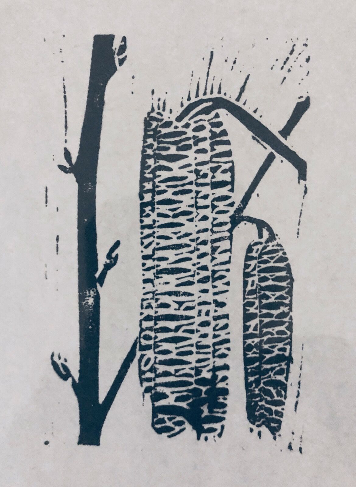 Catkins Linocut
