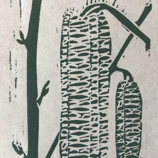Catkins