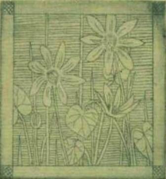 Celandine Etching