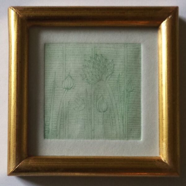 Chives