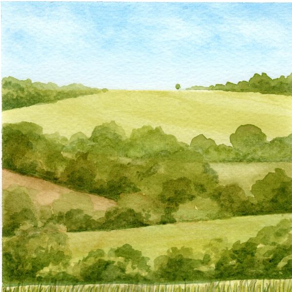 Cranborne Chase Slopes