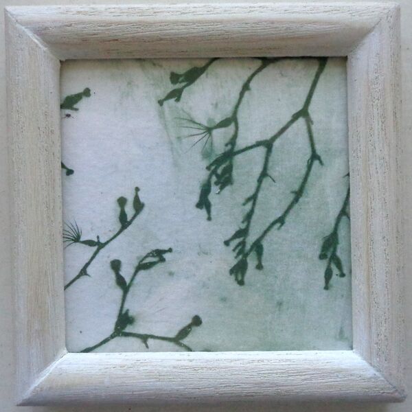 Branches