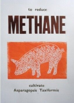 Methane