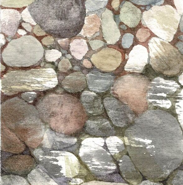 Shingle Study