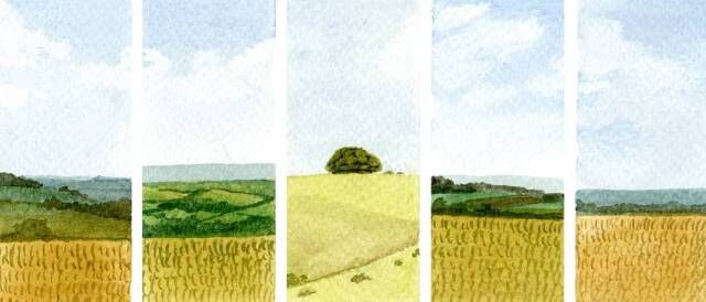 Field by Field - Introduction