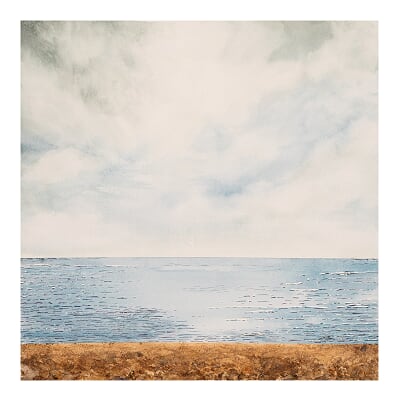 Tidelines & Rockpools