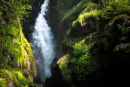 Aira Force