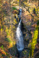Aira Force