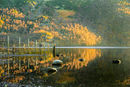 Aira Point.