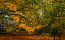 Autumn 3.