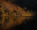 Autumn Light