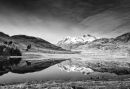 Winters Reflection