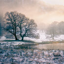 Morning Mist.