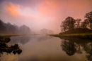 Foggy Start
