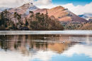 Catbells