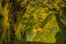 Cathedral Cave 1