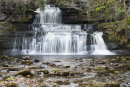 Cotter Force