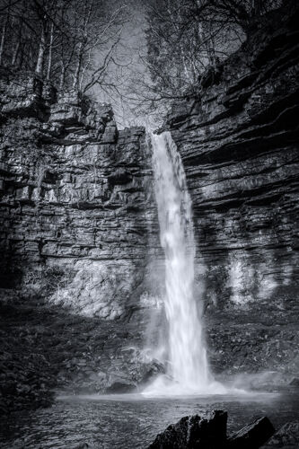 Hardraw Force