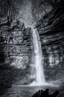 Hardraw Force
