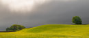 Yorkshire Dales.