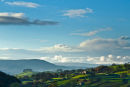 Dales#2