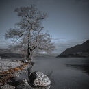 Proofs for the Dark Side.