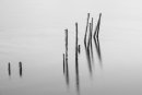 Pier Remains, Derwent Water.