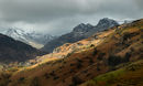 Distant Pikes