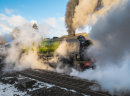 Duchess of Sutherland