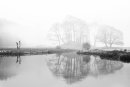 Foggy River Brathay trees 2.
