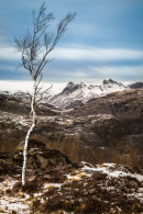 From Holme Fell 2.