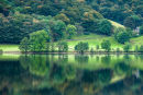 Grasmere.
