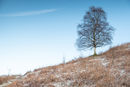 Fell Grasmere 2.
