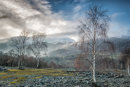 Quarry 1