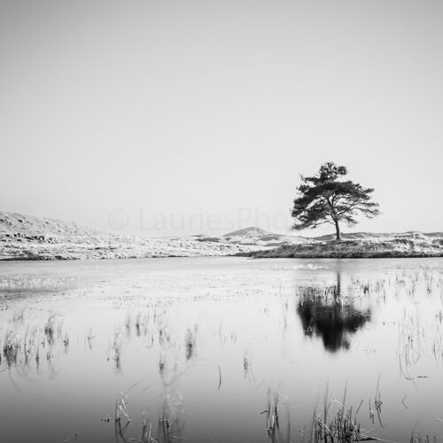 Kelly Hall Tarn