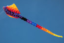 Kite