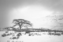 Kirkstone Pass View.