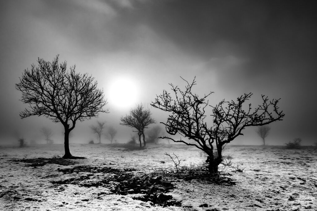 Middle Earth Perhaps.