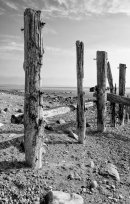 Breakwater Remains