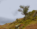 Outcrop